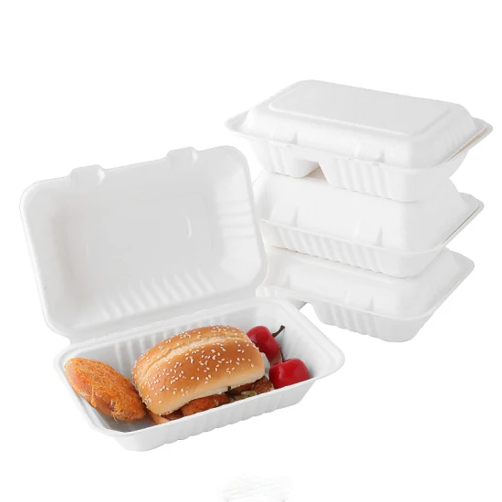 Fast food da asporto 9X6 pasta di carta compostabile bagassa di canna da zucchero e contenitori di carta a conchiglia contenitori per alimenti biodegradabili